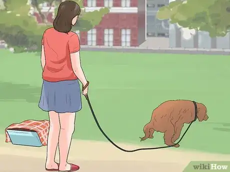 Image titled Prevent Hookworms in Dogs Step 3