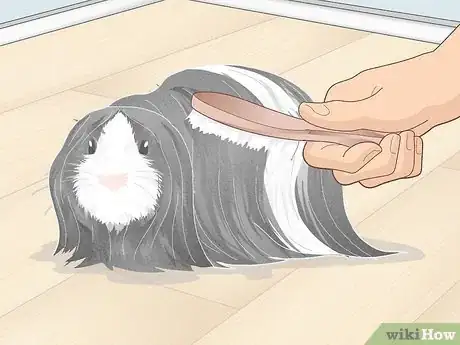 Image titled Prevent Your Guinea Pig from Becoming Sick Step 16