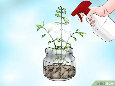 Image titled Grow Bacopa Plants Step 13