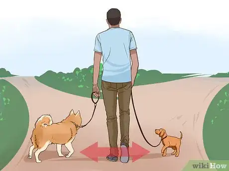 Image titled Introduce a Puppy to a Senior Dog Step 4