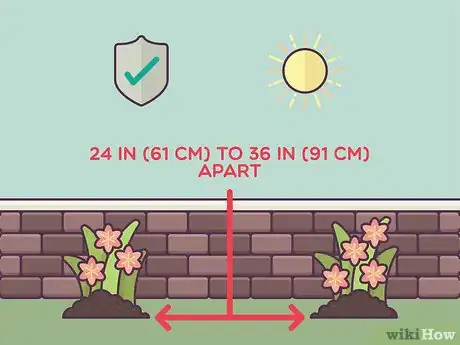 Image titled Plant Daylilies Step 18