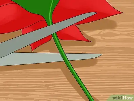 Image titled Make a Holiday Wreath Step 2