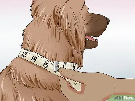 Image titled Buy Bling for a Dog Step 10