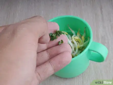 Image titled Juice Broccoli Sprouts Step 5