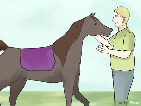 Image titled Choose a Horse Trainer Step 4