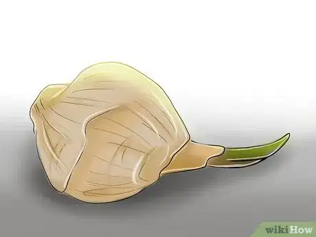 Image titled Find Gelatin Substitutes for Vegetarians Step 6