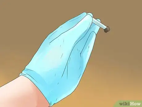 Image titled Diagnose and Treat Dog Diarrhea Step 6