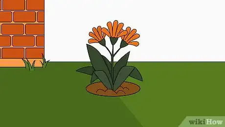 Image titled Plant Bush Lily Step 22