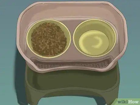 Image titled Feed Cats Step 16