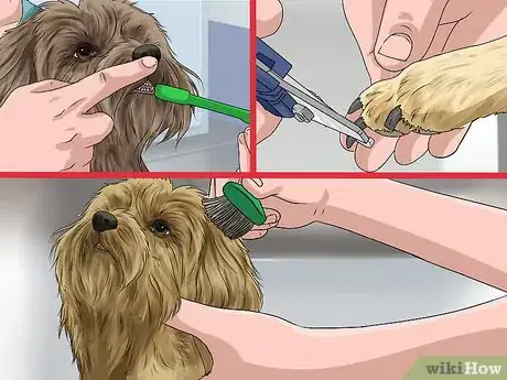 Image titled Whelp and Raise a Single Puppy Step 15