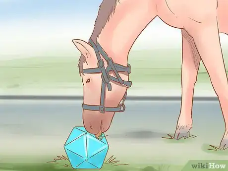 Image titled Keep a Horse from Cribbing Step 6