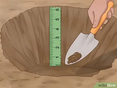 Image titled Plant Easter Lilies Step 7