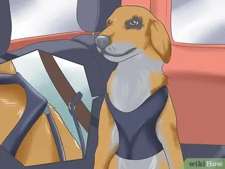 Image titled Deal with Severe Motion Sickness in Dogs Step 5