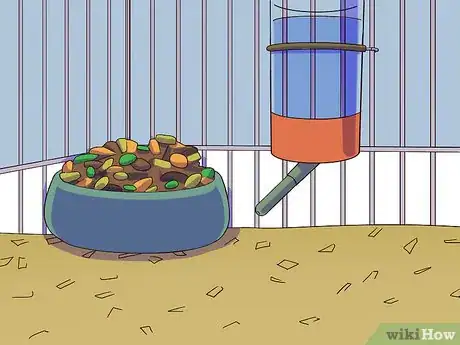 Image titled Feed a Gerbil Step 5