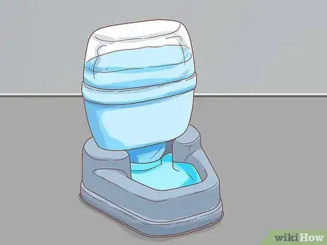 Image titled Treat Cleft Palate in Cats Step 8