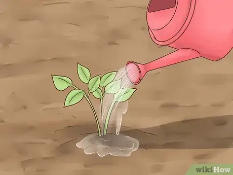 Image titled Plant Landscape Plants Step 19