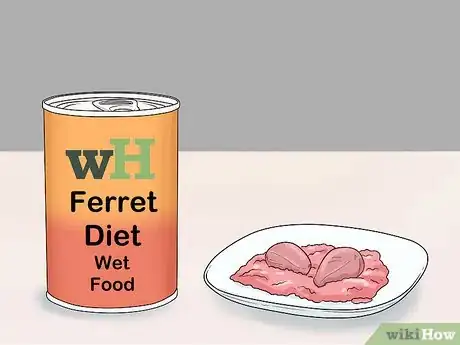 Image titled Feed a Ferret Step 2
