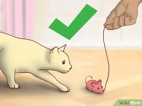 Image titled Get an Overweight Senior Cat to Lose Weight Step 6