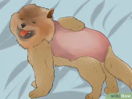 Image titled Diagnose Adrenal Gland Disease in Pomeranians Step 2