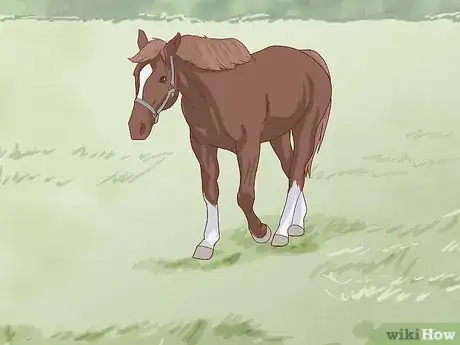 Image titled Walk a Colicking Horse Step 12