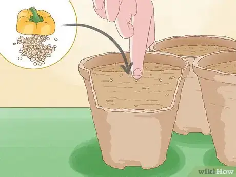 Image titled Grow Sweet Peppers Step 3