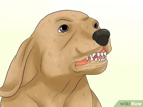 Image titled Diagnose Epilepsy in Beagles Step 3