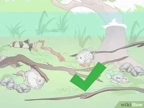 Image titled Start a Saltwater Reef Tank Step 19