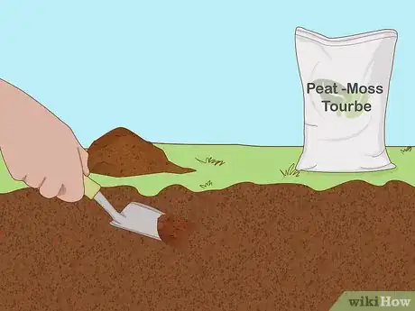 Image titled Plant Snowdrops Step 2