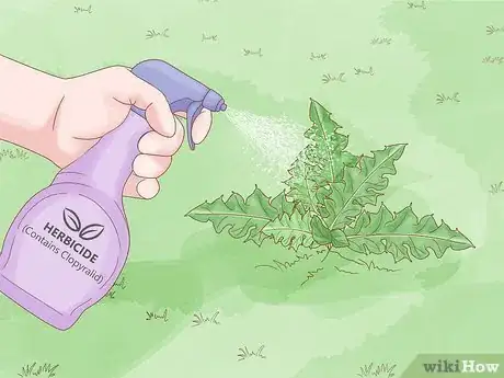 Image titled Get Rid of Thistles in Pastures Step 4