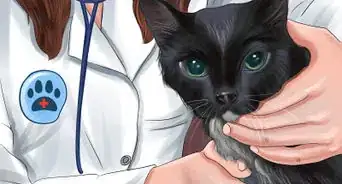 Choose a Pet from a Pet Store