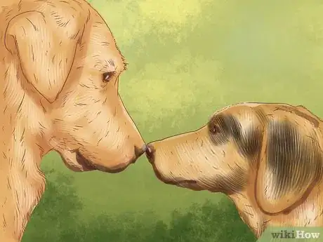 Image titled Decide Whether to Get a Second Dog Step 6