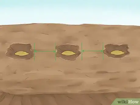 Image titled Grow Herbs Outdoors Step 6