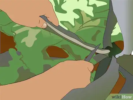 Image titled Grow Ornamental Flowering Kale Plants Step 13