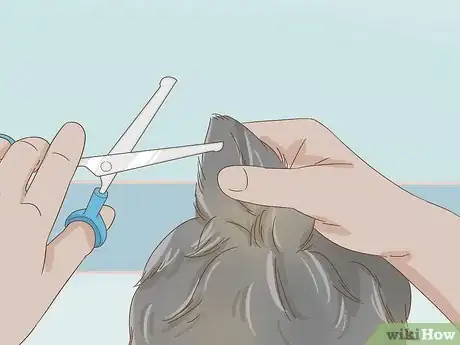 Image titled Groom an Affenpinscher Step 12