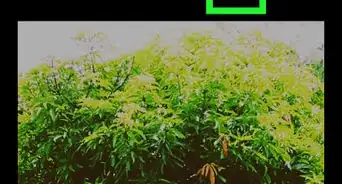 Create the Golden Hour Look in VSCO on Android