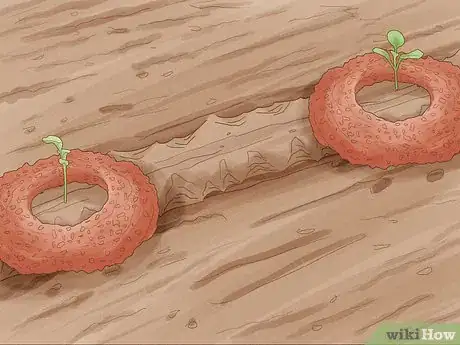 Image titled Grow Vegetables in New England Step 18