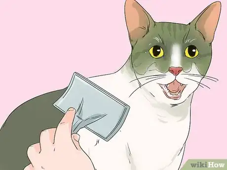 Image titled Take Care of an Aegean Cat Step 1