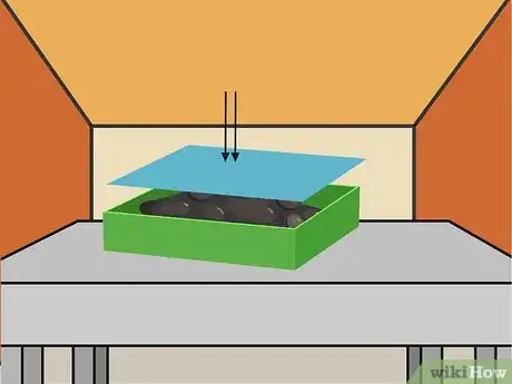 Image titled Grow a Chilli Plant from a Seed Step 5