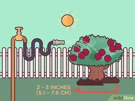 Image titled Save a Dying Rose Bush Step 17