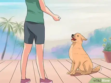 Image titled Keep Dogs out of Flower Beds Step 6