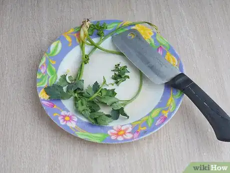 Image titled Juice Broccoli Sprouts Step 2