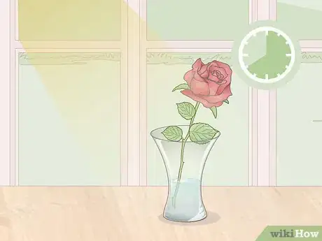 Image titled Force Bloom Flowers Step 4