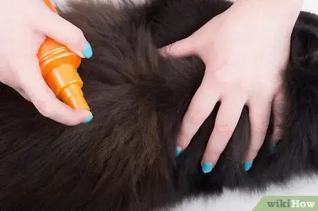 Image titled Protect Your Cat or Kitten from Parasites Step 2