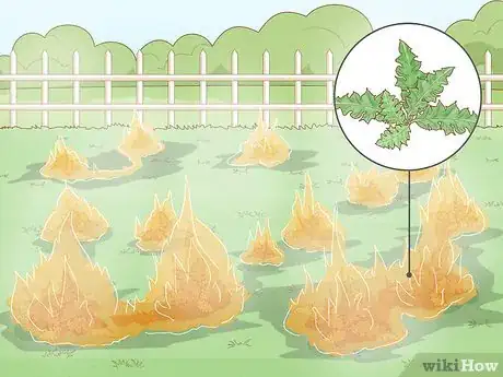 Image titled Get Rid of Canadian Thistles Step 6