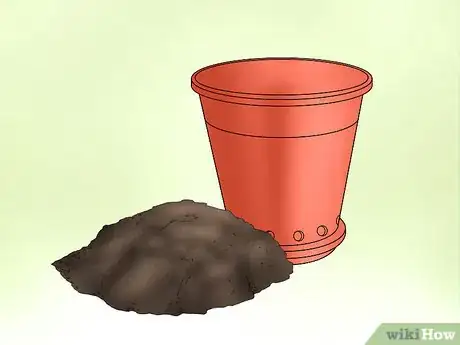 Image titled Plant Confederate Jasmine Step 19