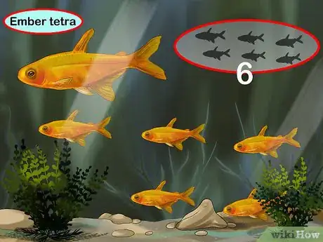 Image titled Buy a Fish for a Child Step 4