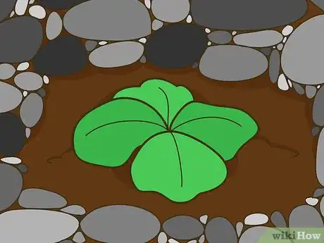 Image titled Stop a Ferret from Digging in Houseplants Step 5