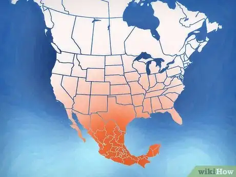 Image titled Grow Cosmos Flowers Step 5