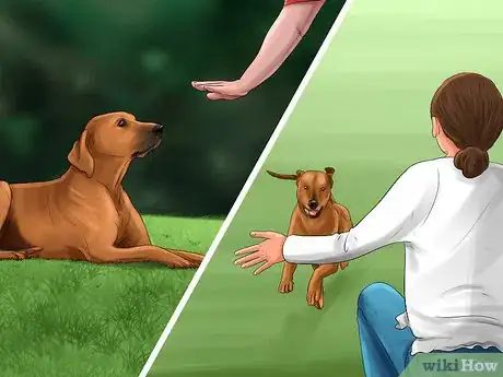 Image titled Introduce a Dog to a New Family Member Step 2