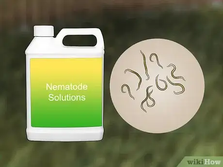 Image titled Kill Crane Flies Step 6